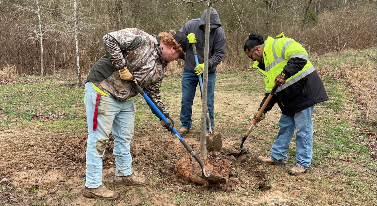 Dalton Celebrates 33rd Year Of "Tree City USA" Designation On Arbor Day Dalton, GA