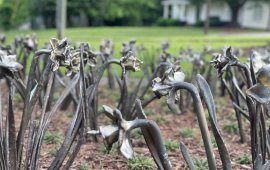 A bed of bronze daffodil sculptures stands in front of the historic Hamilton House on Chattanooga Avenue