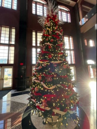The City Hall Christmas tree