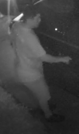 The suspect
