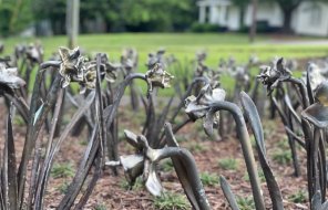 A bed of bronze daffodil sculptures stands in front of the historic Hamilton House on Chattanooga Avenue