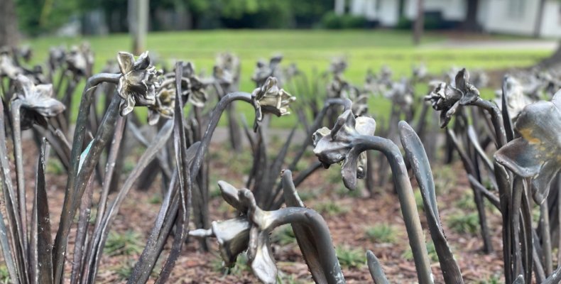 A bed of bronze daffodil sculptures stands in front of the historic Hamilton House on Chattanooga Avenue